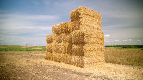 Quadratische-Heuballen,-Die-Nach-Der-Ernte-An-Einem-Sonnigen-Tag-Auf-Dem-Feld-Gestapelt-Wurden