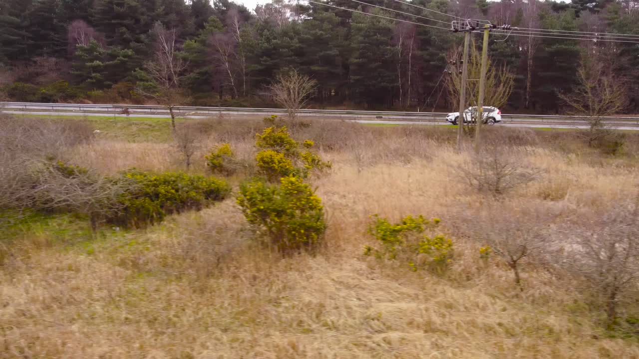 disparo aéreo de drones siguiendo a los autos que pasaban por la carretera en medio de una exuberante vegetación en el campo a lo largo de thetford, reino unido