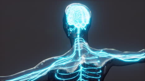 Human-Headache-Concept-Glowing-Xray-Brain