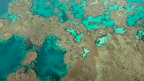 colorful coral colonies under the turquoise tropical ocean waters - turning aerial view