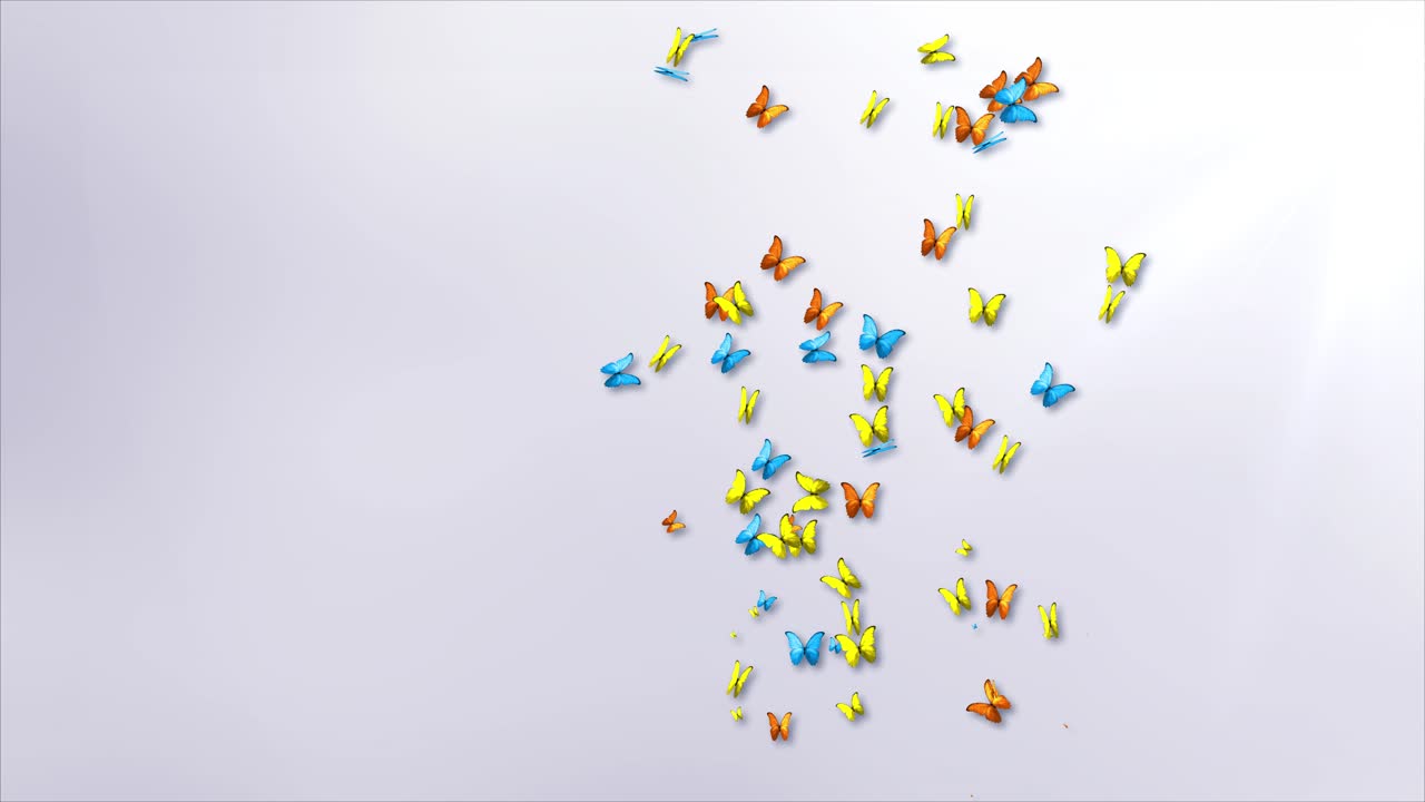 Beautiful butterfly flying isolated on white background butterfly in spring nature freshness and