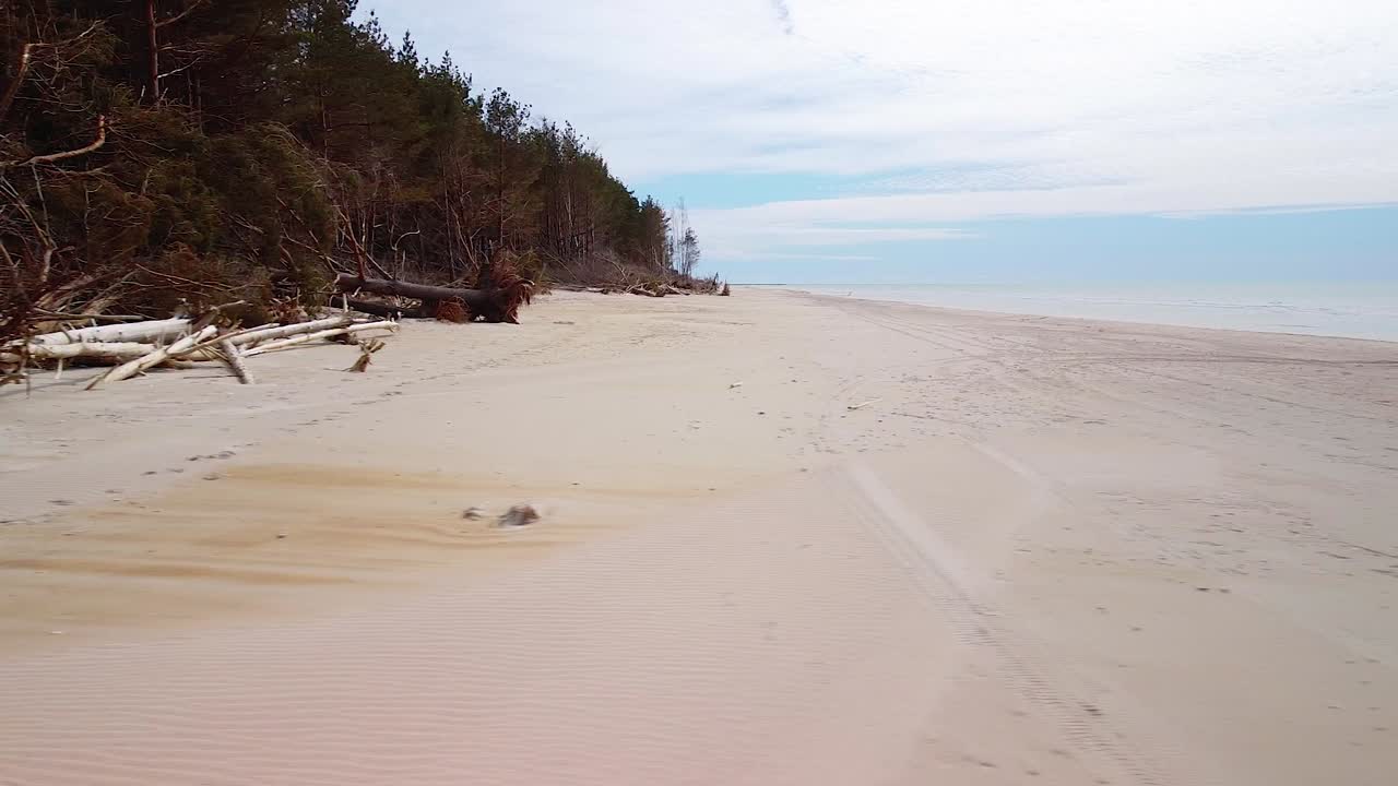 화창한 날 발트해 연안의 공중 전망, 파도에 의해 손상된 가파른 해변 모래언덕, 부서진 소나무, 해안 침식, 기후 변화, 낮은 광각 드론 돌리 샷 오른쪽으로 이동