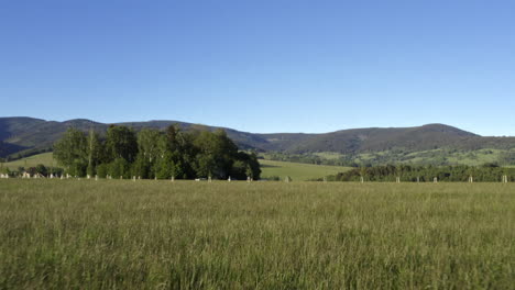 dolly aerial 4k shot above a green field with a line of tree saplings in dolní morava, czech republic, with forests and mountains in the background