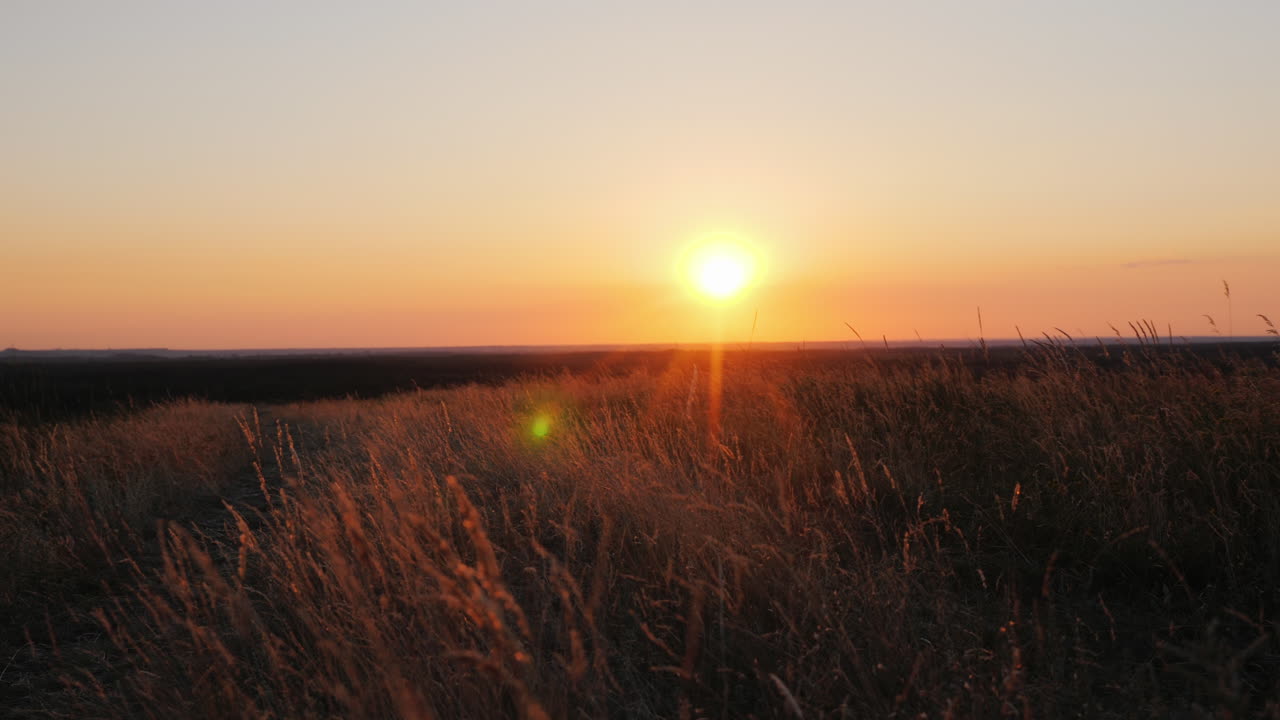 una familia joven con un niño hace un trote nocturno en la naturaleza