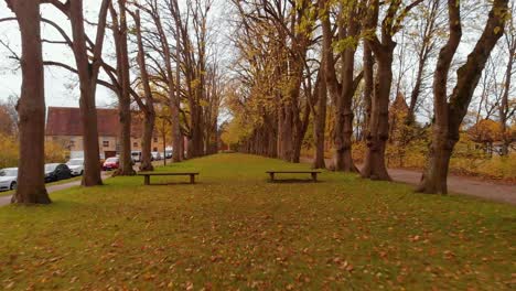 Eine-Drohne-Fliegt-Zurück-über-Die-Rasenfläche-Im-Park-Auf-Beiden-Seiten-Gibt-Es-Bäume,-Die-Wie-Ein-Zaun-Sind