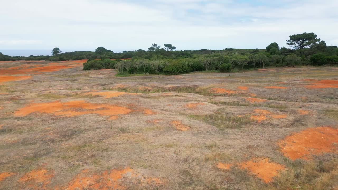 산타 마리아 섬 에 있는 초록색 식물 들 이 있는 은색 과 오렌지색 의 황량 한 풍경