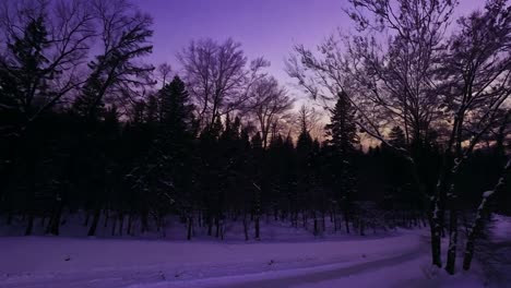puesta de sol púrpura sobre un bosque nevado