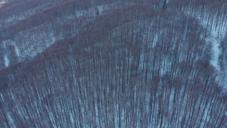 aerial drone shot panning up snow winter forest sunset