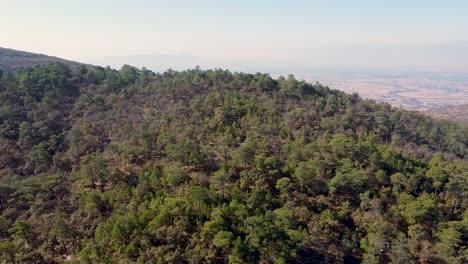 Aerial-drone-shot-of-forest-covered-hill-with-dry-earth-and-overcast-skies