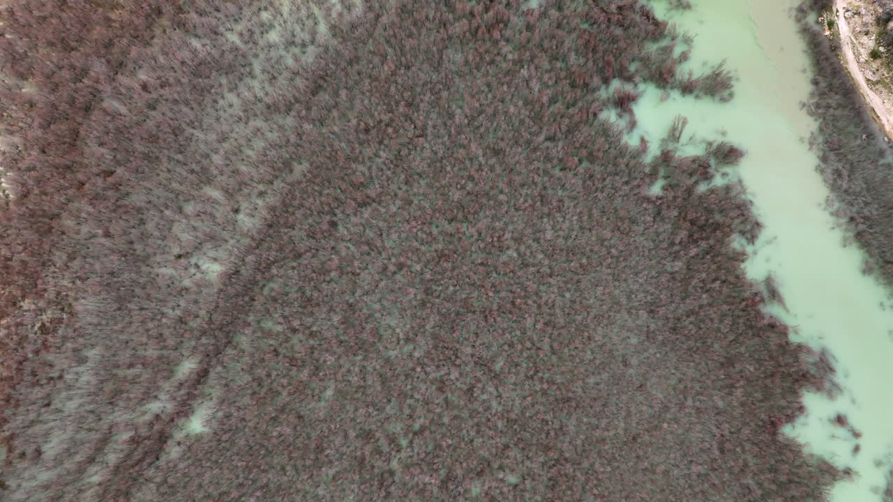 Aerial View of Flooded Forest Landscape with Rising Water Levels