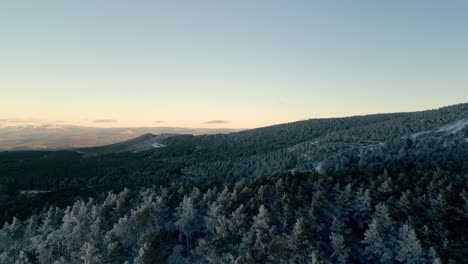 Tiro-Aéreo-Bosque-Nevado-Que-Se-Extiende-Hasta-El-Horizonte-Con-El-Sol-Bajo-En-Manzaneda,-Galicia