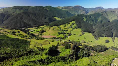 Aerial-view-of-Takaka-hill-valley,-covered-in-bright-green-and-lush-vegetation,-New-Zealand