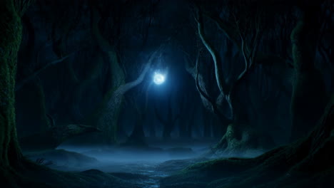 mysterious forest at night
