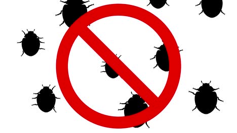 escarabajos en el signo de prohibición