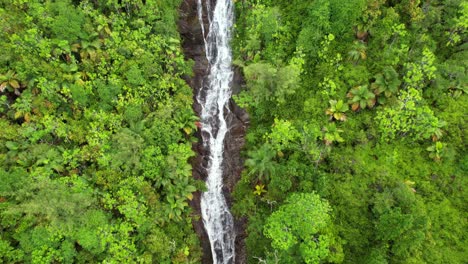 Drone-of-sauzier-waterfall,-dense-tropical-forest-with-palm-trees-and-granite-stone,-Mahe-Seychelles-30fps-4