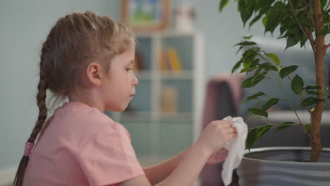 little-blonde-girl-in-a-T-shirt-carefully-wipes-the-leaves