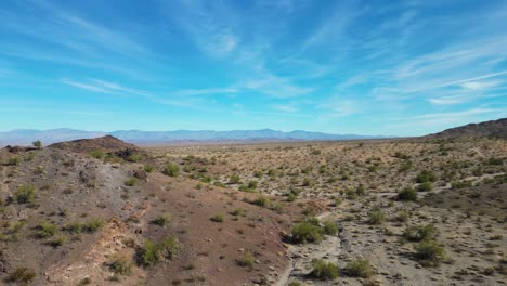 paisaje expansivo de postre lleno de rocas y arbustos