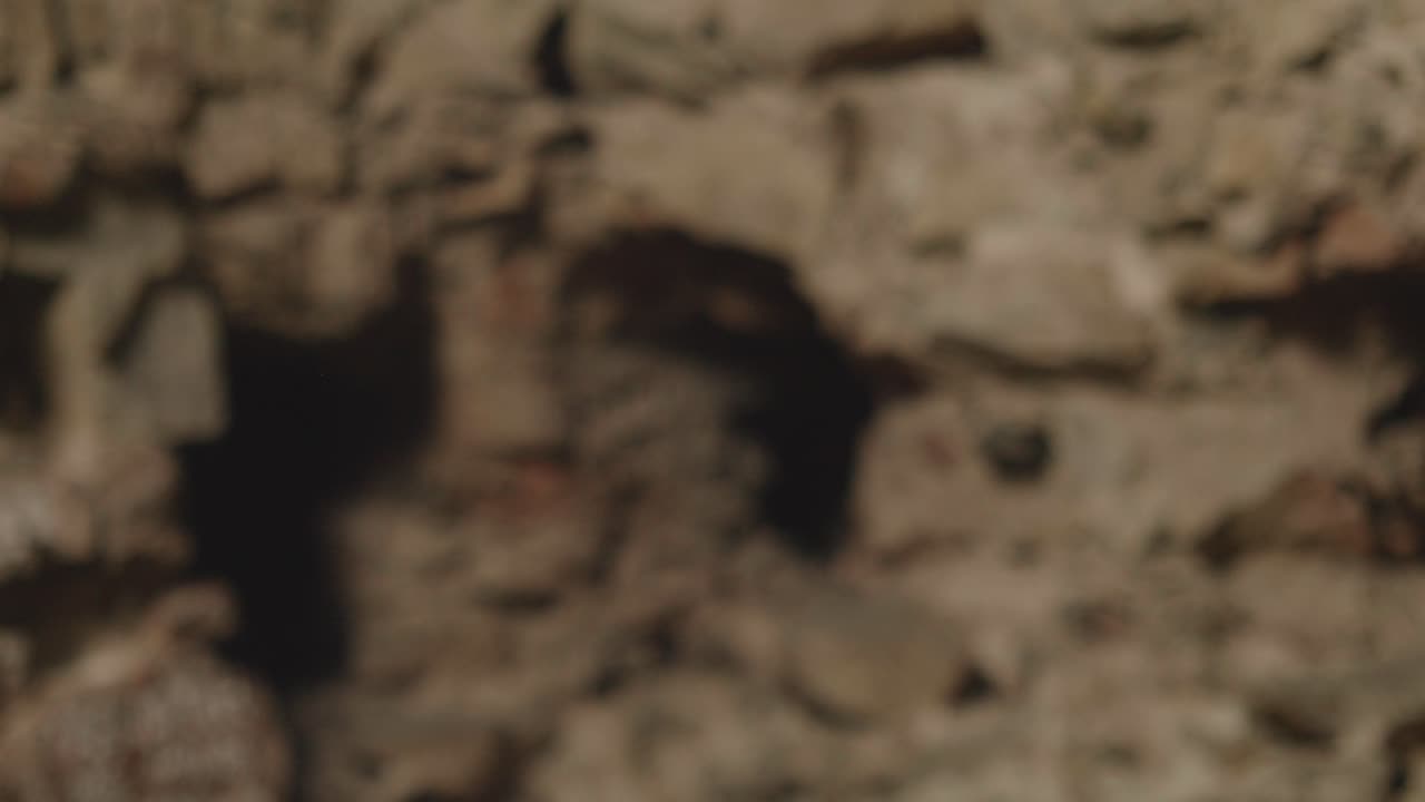 A person in historical or fantasy costume with leather armor puts a piece of rock or coal into a rustic bag. Medieval reenactment, LARP, or fantasy adventure concept