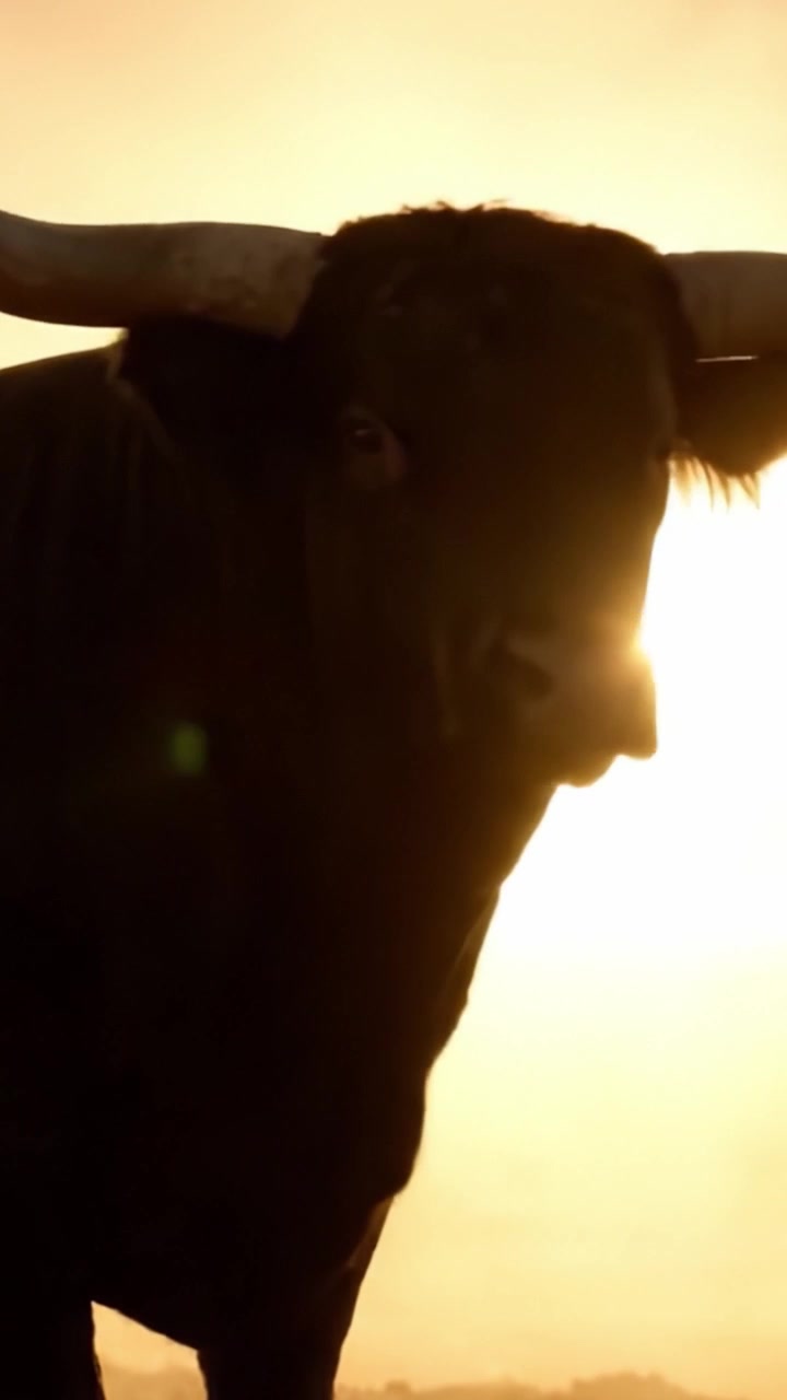Maestoso Toro in Silhouette Contro un Glorioso Tramonto, Illuminando la Forza e la Grazia della Natura in un Paesaggio Sereno