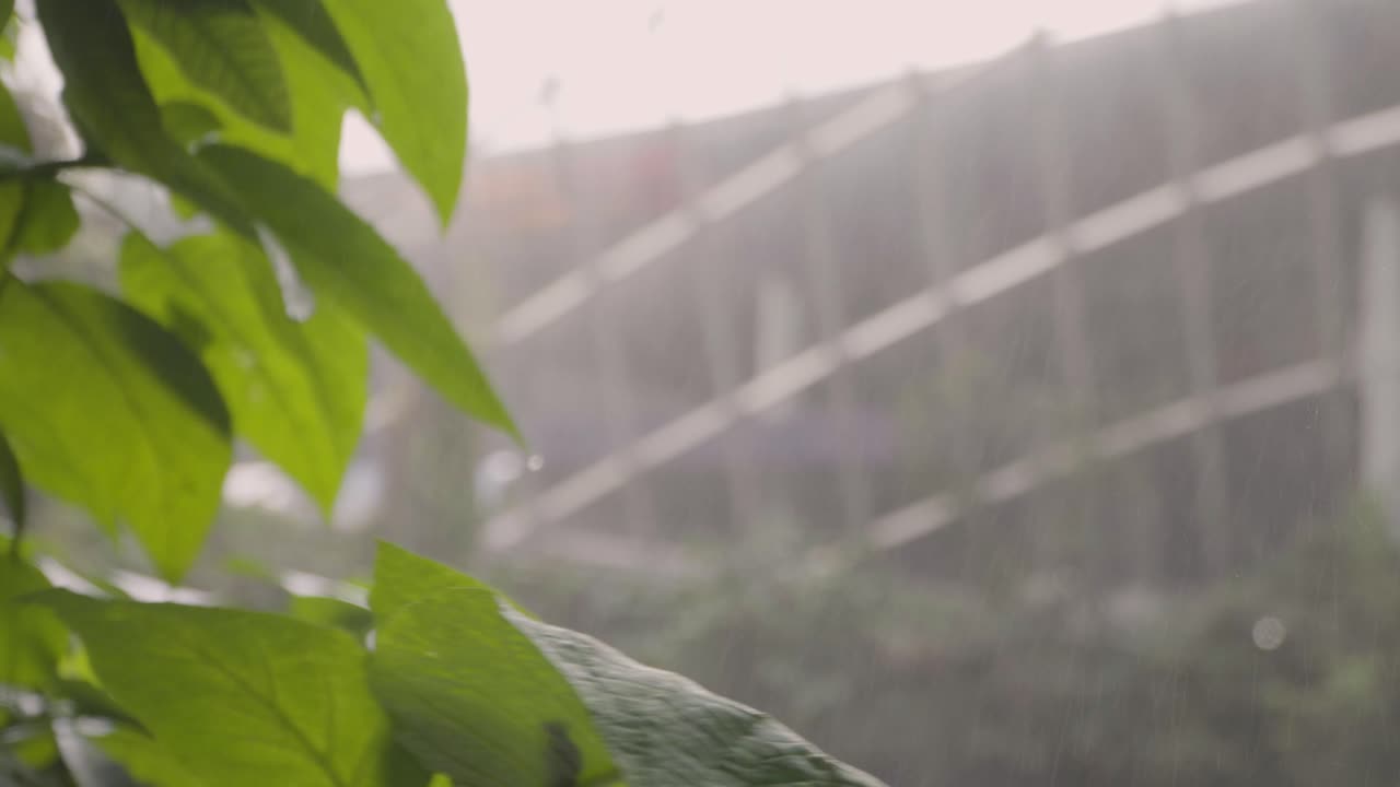 Mist From Indoor Waterfall At Cloud Forest In Gardens By The Bay, Singapore. - close up