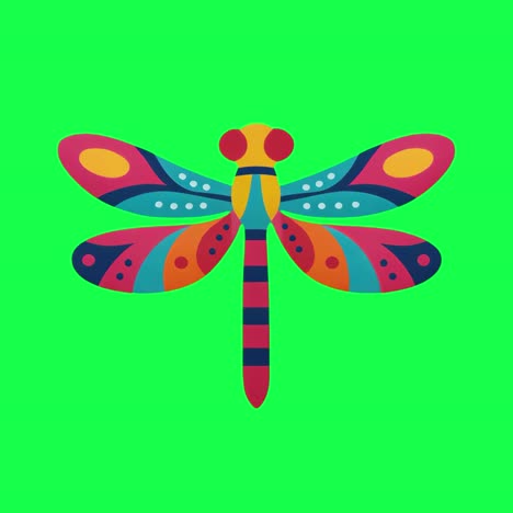 colorful abstract dragonfly illustration animation, transparent 4k video, green screen