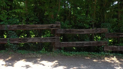 Wandern-Auf-Dem-Weg-Inmitten-Der-Natur