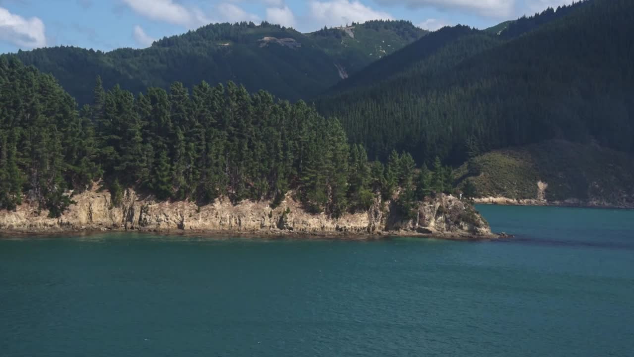 Forests in the mountains, turquoise bays and coves in the foreground. View from the ferry driving through the malborough sound of New Zealand, South Island