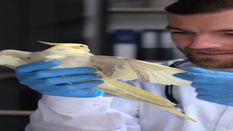 veterinarian examining a parrot