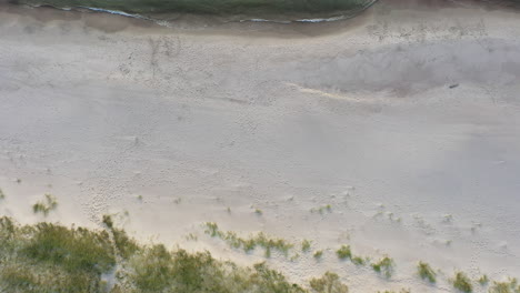 antena: vista superior toma ascendente de una playa de arena desierta en una agradable velada con la costa visible y el mar báltico