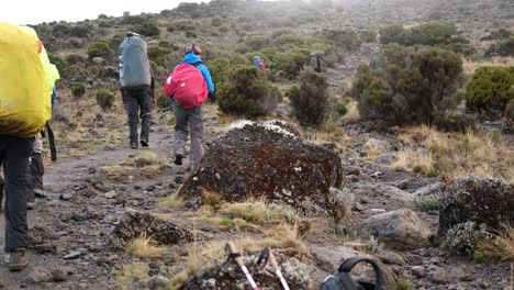 back view tourists with backpacks walk through the wasteland between bushes and stones