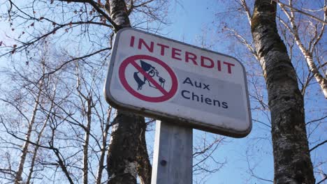 „Keine-Hunde-Erlaubt“-Schild-In-Französischer-Sprache