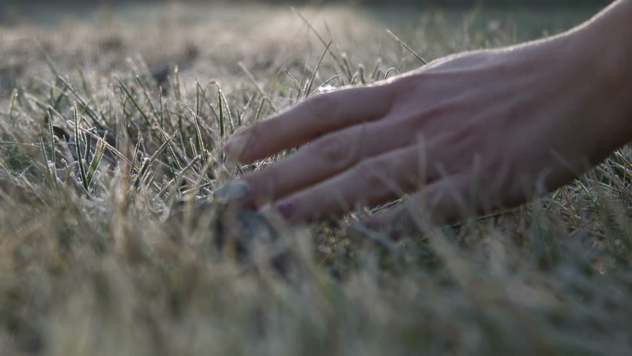 The Female Hand Touches To a Frosty Grass On a