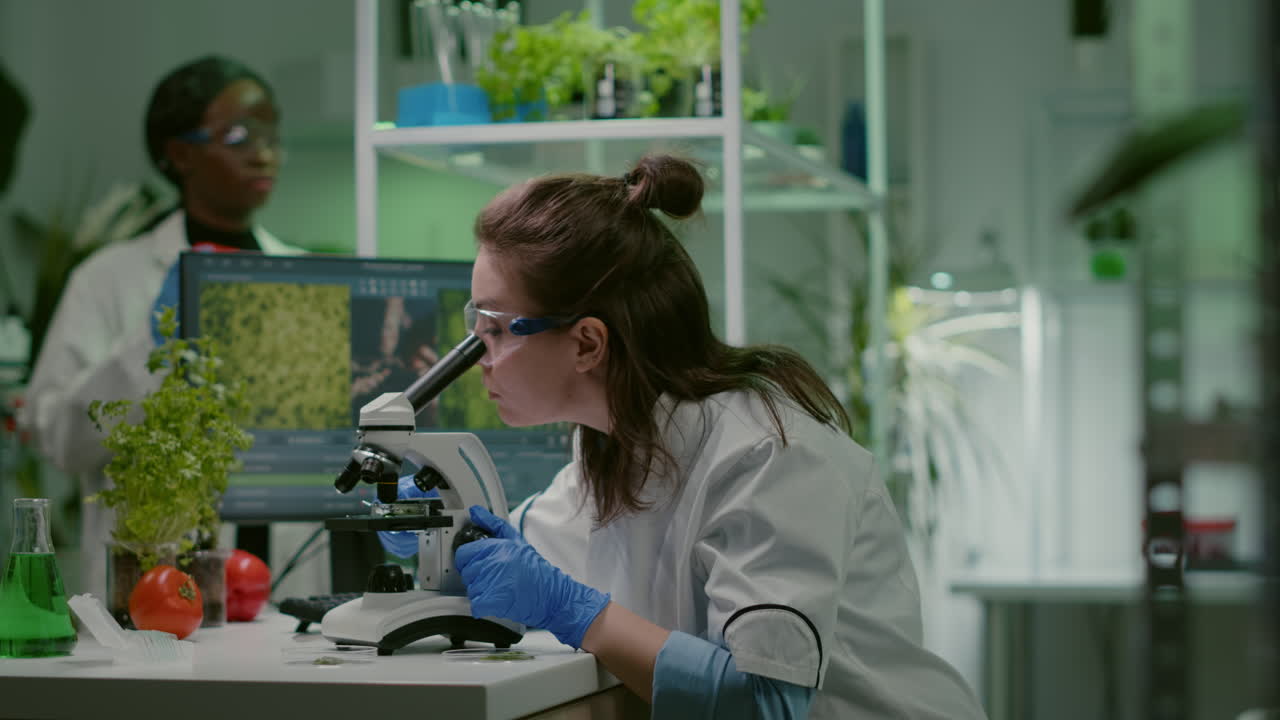 Biologist taking leaf sample putting into microscope