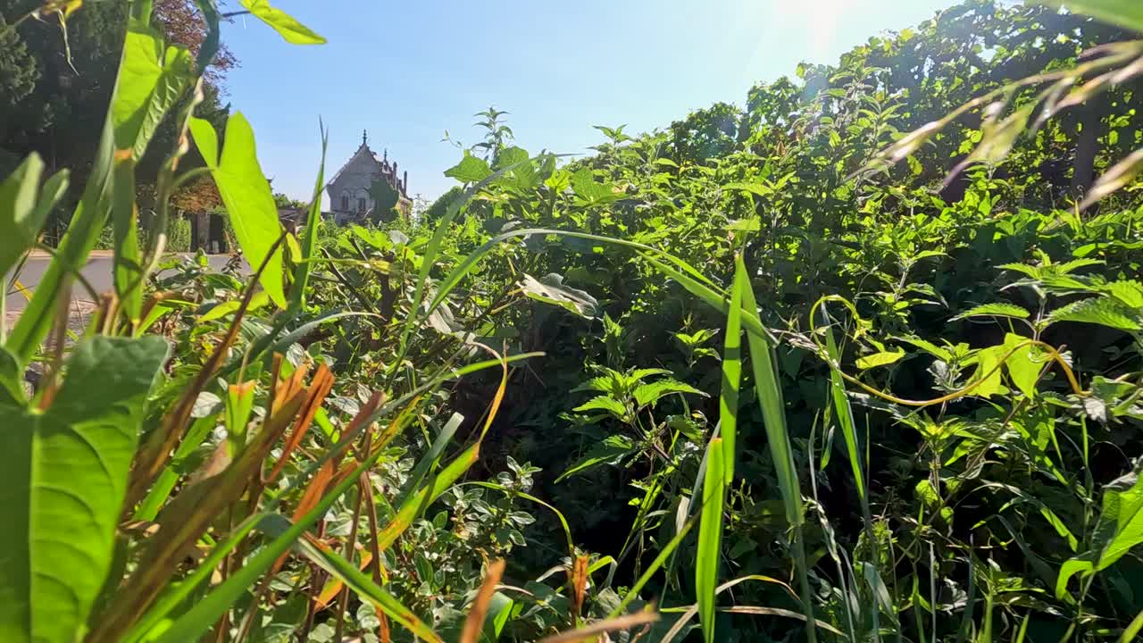 프랑스 보르도 (bordeaux) 의 강변 에 있는 울창 한 초록색