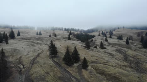 Wanderwege-Durch-Abfallende-Hügel-In-Der-Wildnis-Mit-Nebligem-Himmel