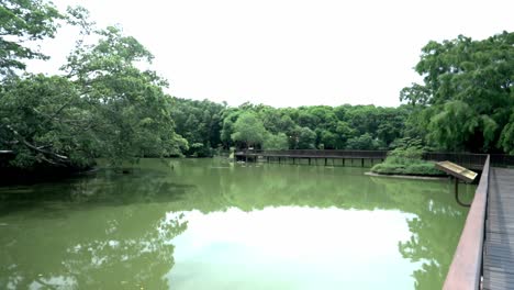 looking at the lake in bang kachao