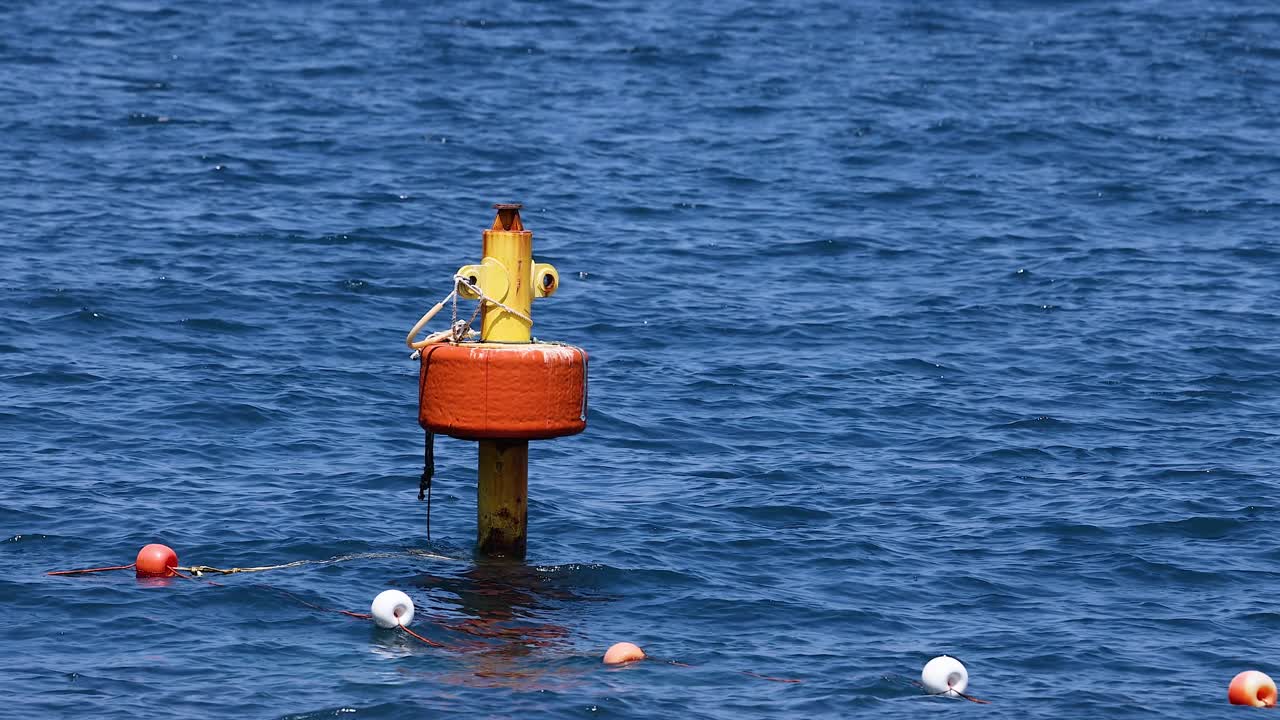 소렌토 근처의 바다에서 떠다니는 보이
