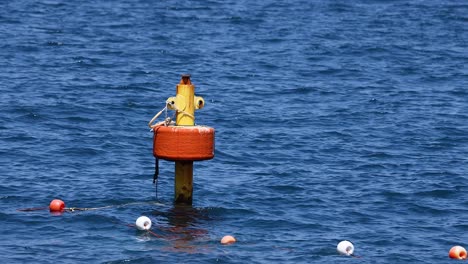 buoy floating in the sea near sorrento