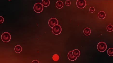 animazione di cellule del sangue su sfondo rosso