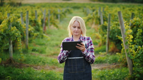 a satisfied female farmer uses a tablet near his garden evening before sunset