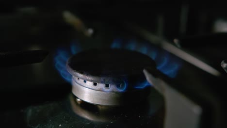 gas stove burner and burning blue flame