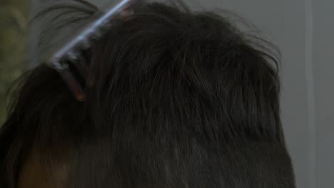 primer plano de la cabeza y el cabello de una persona