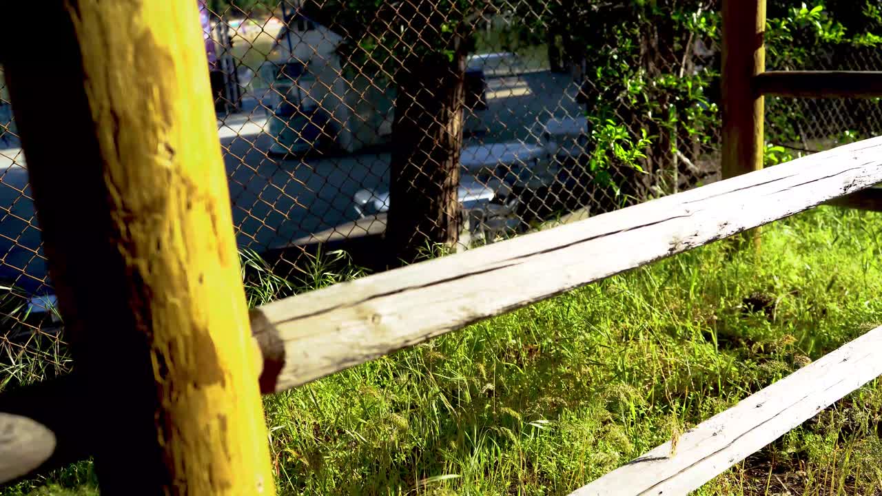 Wooden fence with swaying grass in the background