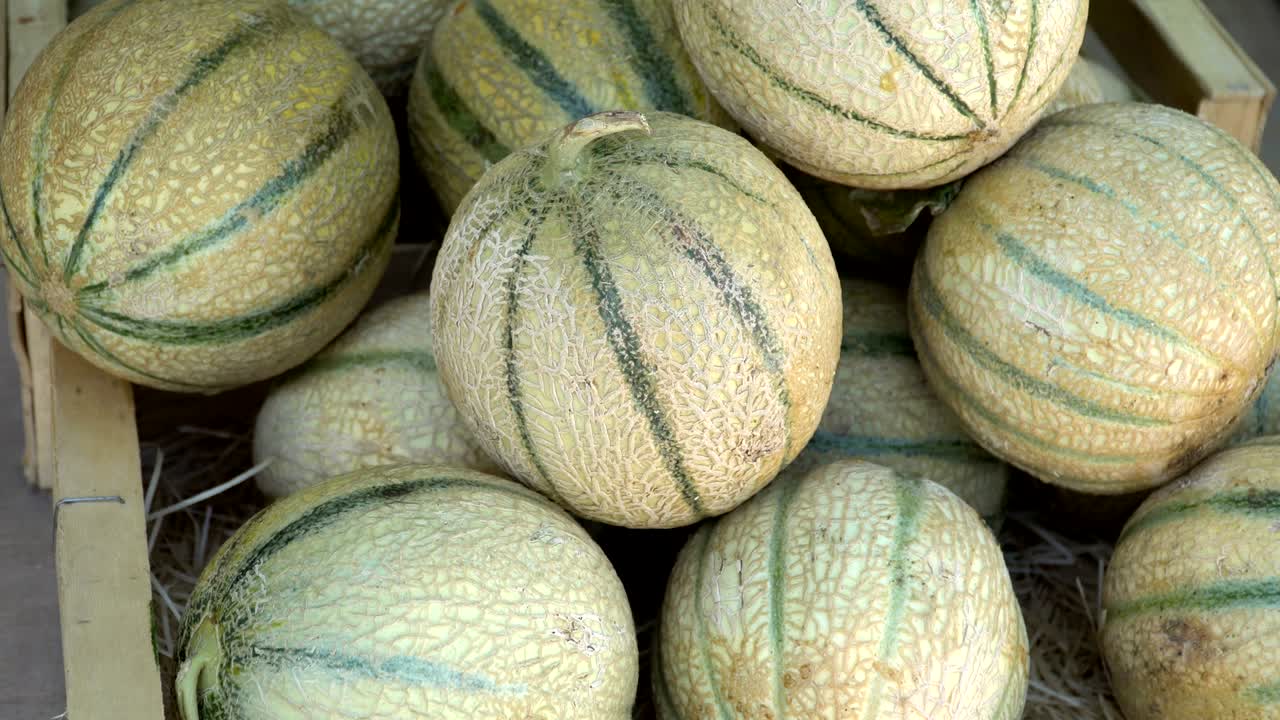 나무 상자에 있는 유기농 농업에서 나온 익은 맛있는 멜론, 마켓 스탠드에서 유기농으로 재배된 멜론. 멜론을 배경으로 한 클로즈업.