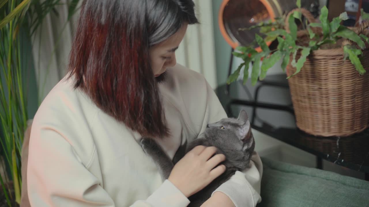 검은 머리의 아시아 여성은 소파에 앉아 고양이를 껴안고 키스하면서 고양이를 머리에 쓰다듬는다