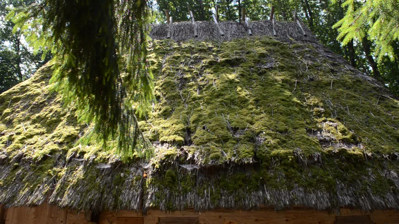 Tetto muschioso. Il villaggio nel bosco. Leopoli, Ucraina