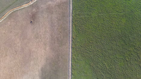 Aerial-view-of-reforestation-field