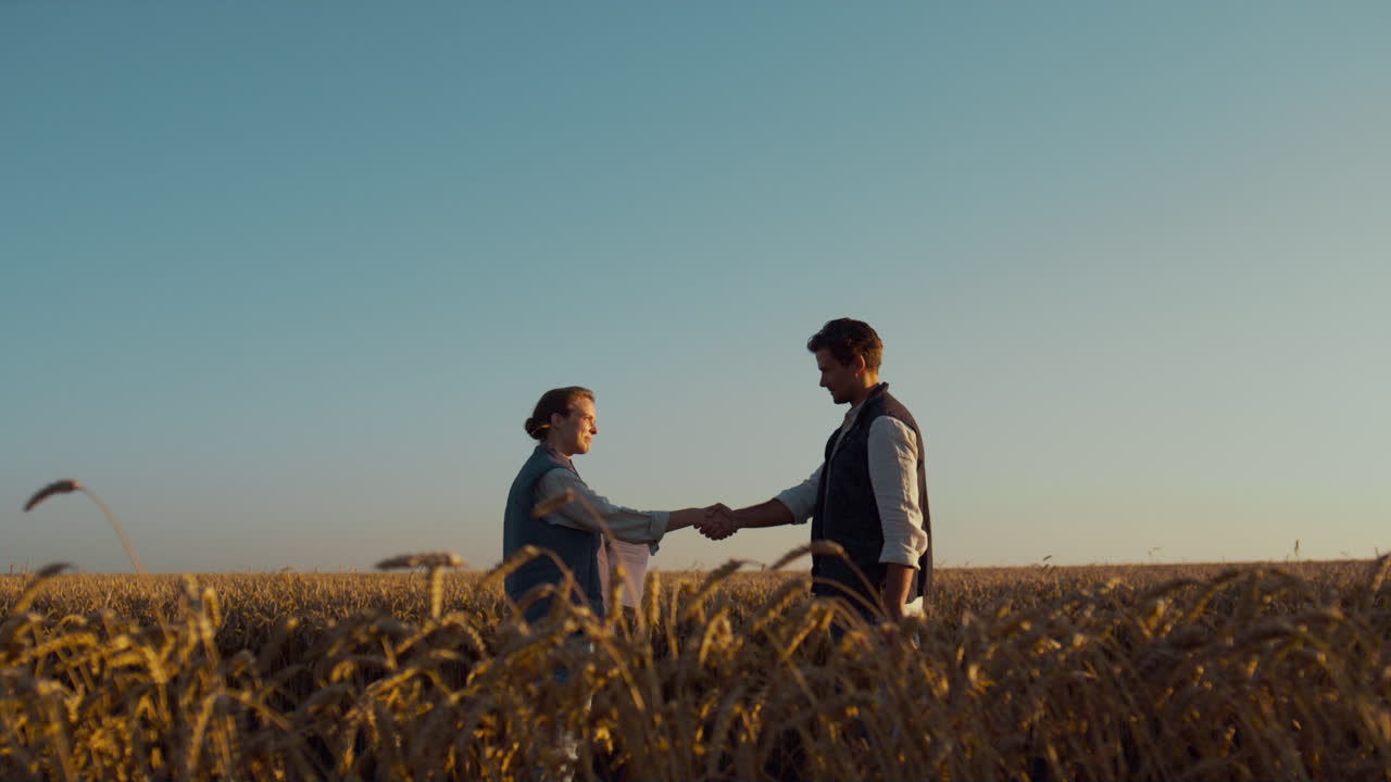 los agricultores se reúnen en el campo de trigo a la luz del sol dorado. los agrónomos discuten el acuerdo