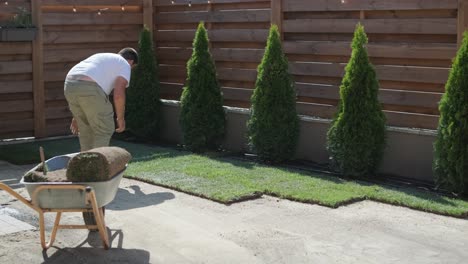 gardener laying a roll of natural lawn turf