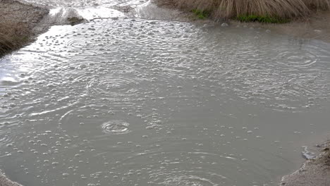 bubbles form in the muddy water of a geothermal hot spring